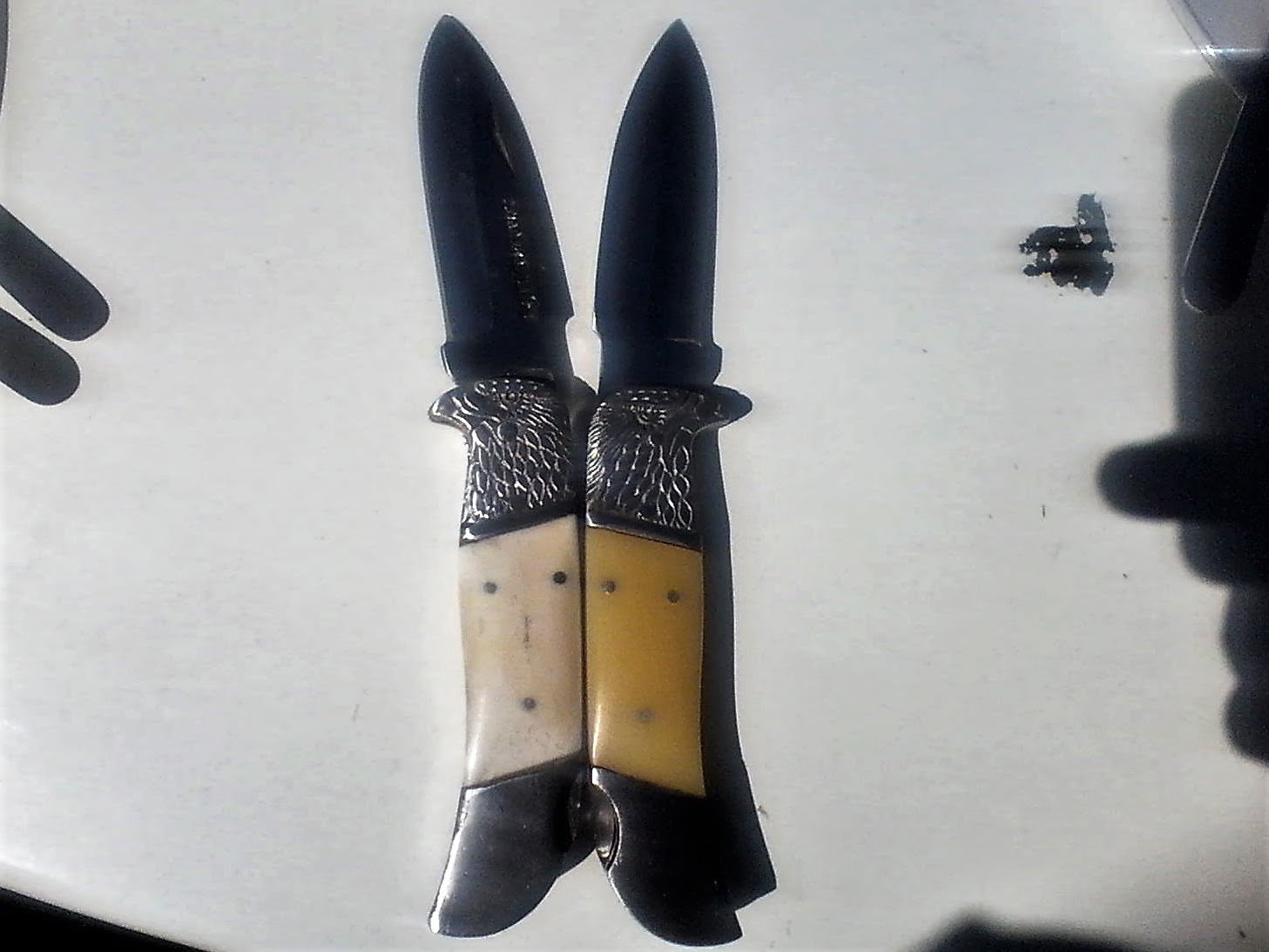 Aigle bicéphal FOREVER !!!